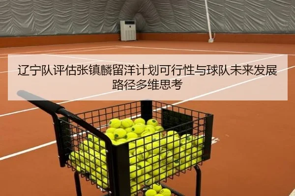 辽宁队评估张镇麟留洋计划可行性与球队未来发展路径多维思考